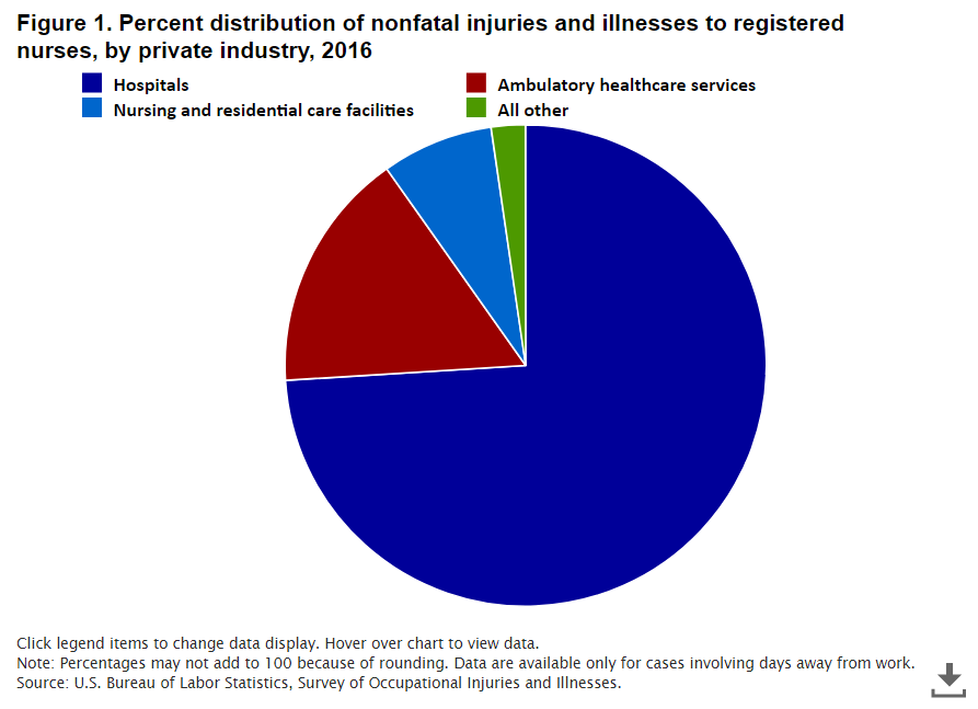 BLS pie chart for RN injuries